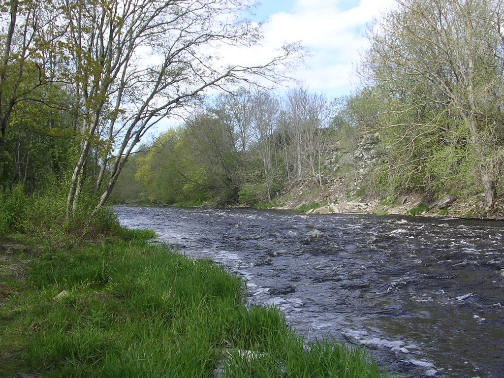 Jägala river (after the falls) by Aulo Aasmaa