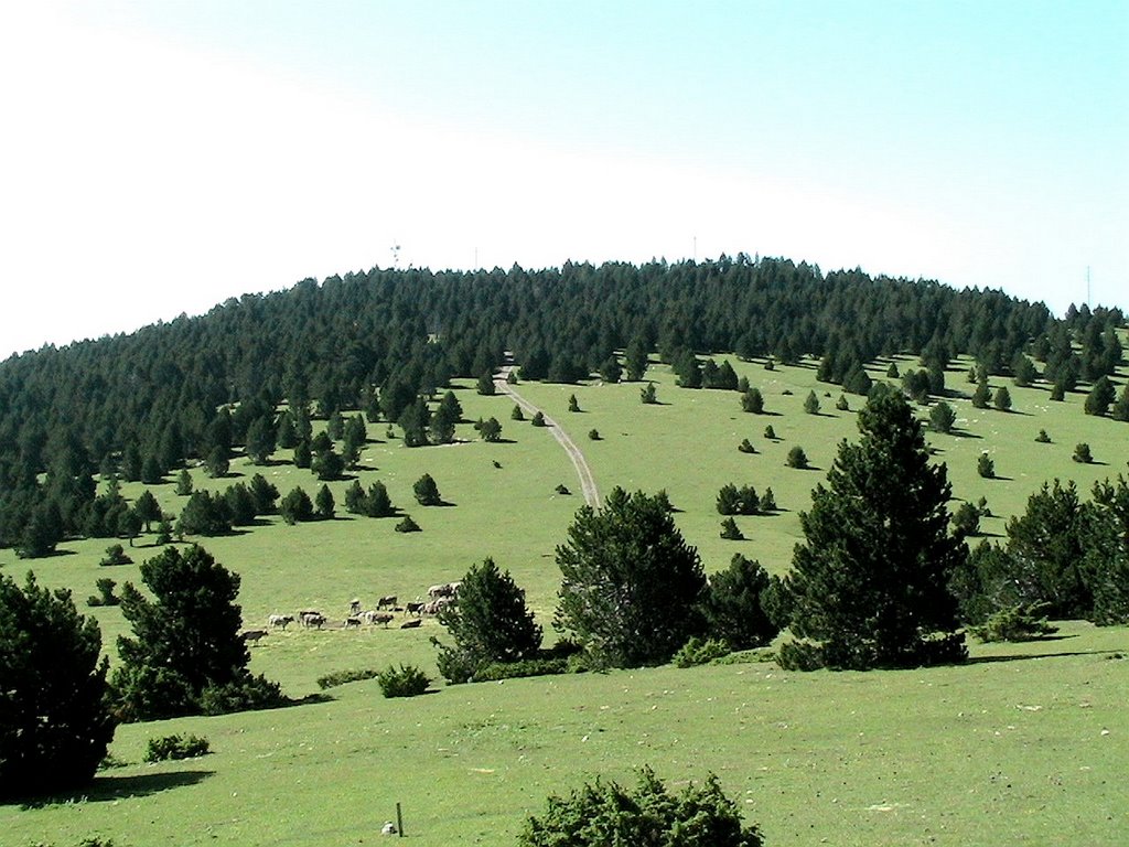 Pla de l'Orri i carena de la Torreta by Isidre Blanc