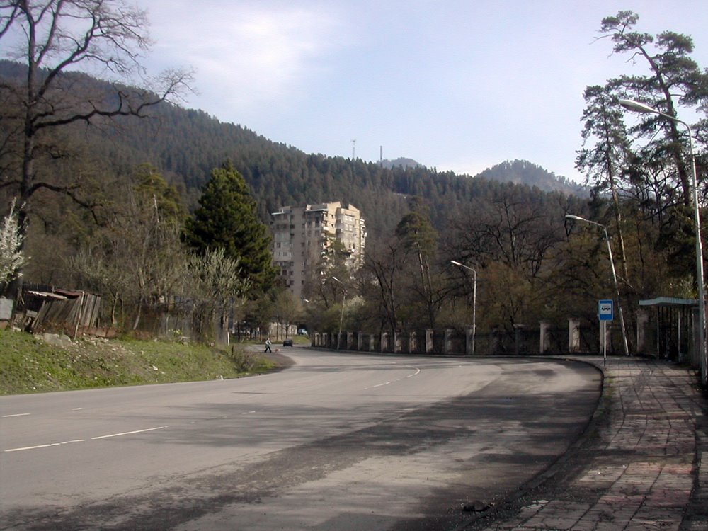 Borjomi - Likani, April 2007 by Aleksandre Abuladze