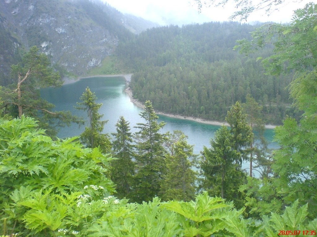 Plansee am Fuße der Zugspitze by Alexander der Zeiger