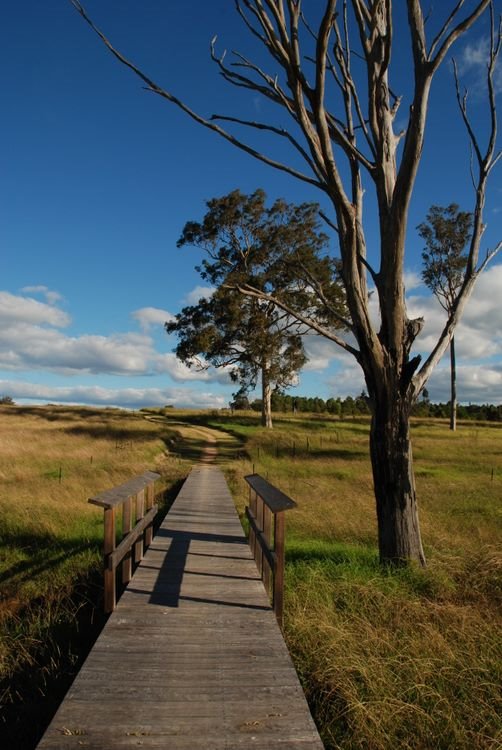 Western Sydney Parklands, Cecil Hills by Desmond Ong