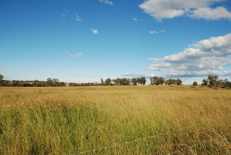 Western Sydney Parklands, Cecil Hills by des_Ong