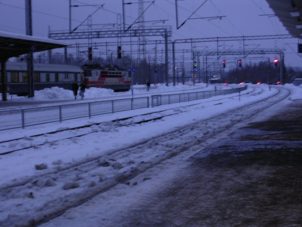 Riihimäki Railway Station by Aulo Aasmaa