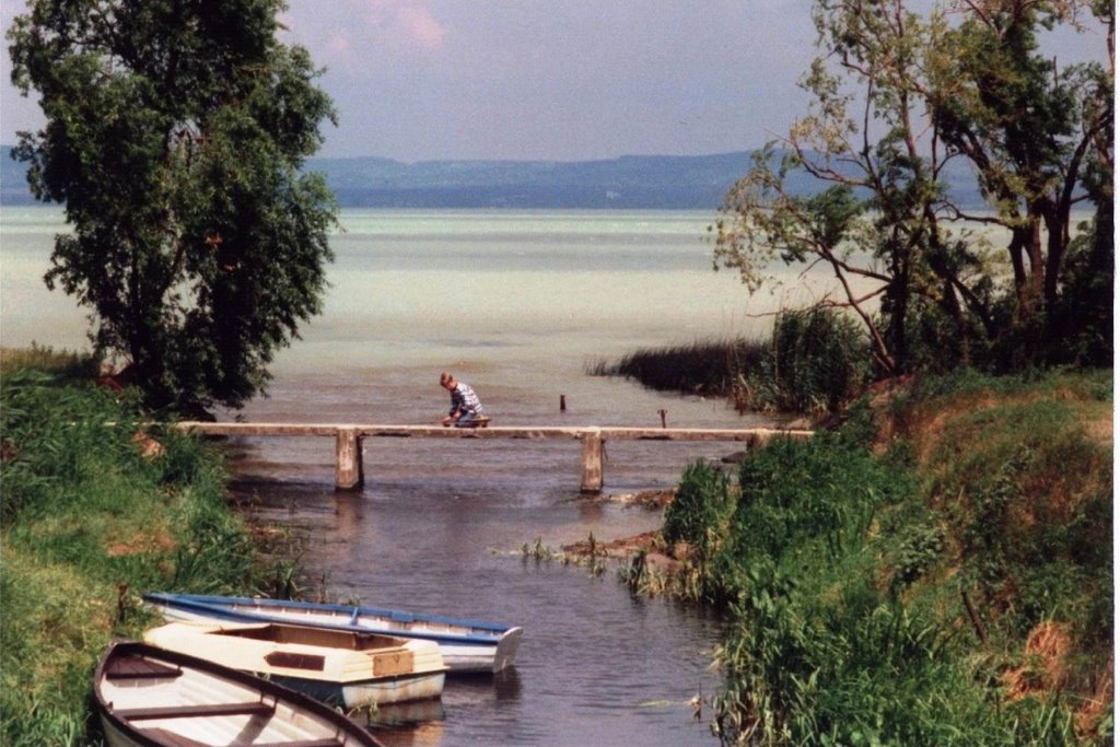 Hungary, Lake Balaton at Siofok by csisc