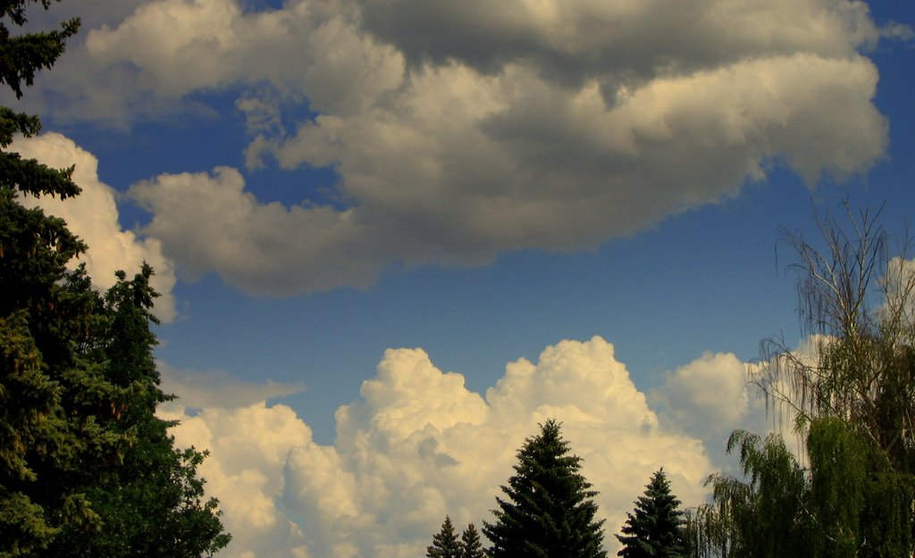 Summer Cumulus Cloud Towers Rising on a Warm Summer Day in Edmonton, July '09 by David Cure-Hryciuk