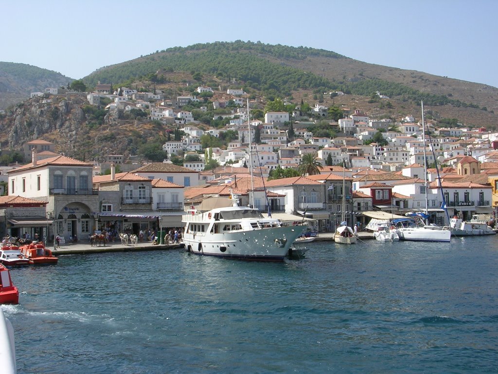 Hydra by Andrew Mallaband