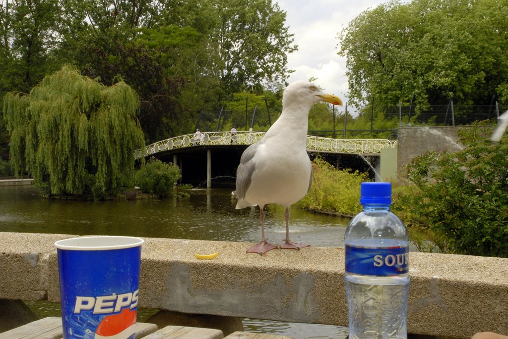 He, jongens wat willen jullie drinken? by © arij m van waart