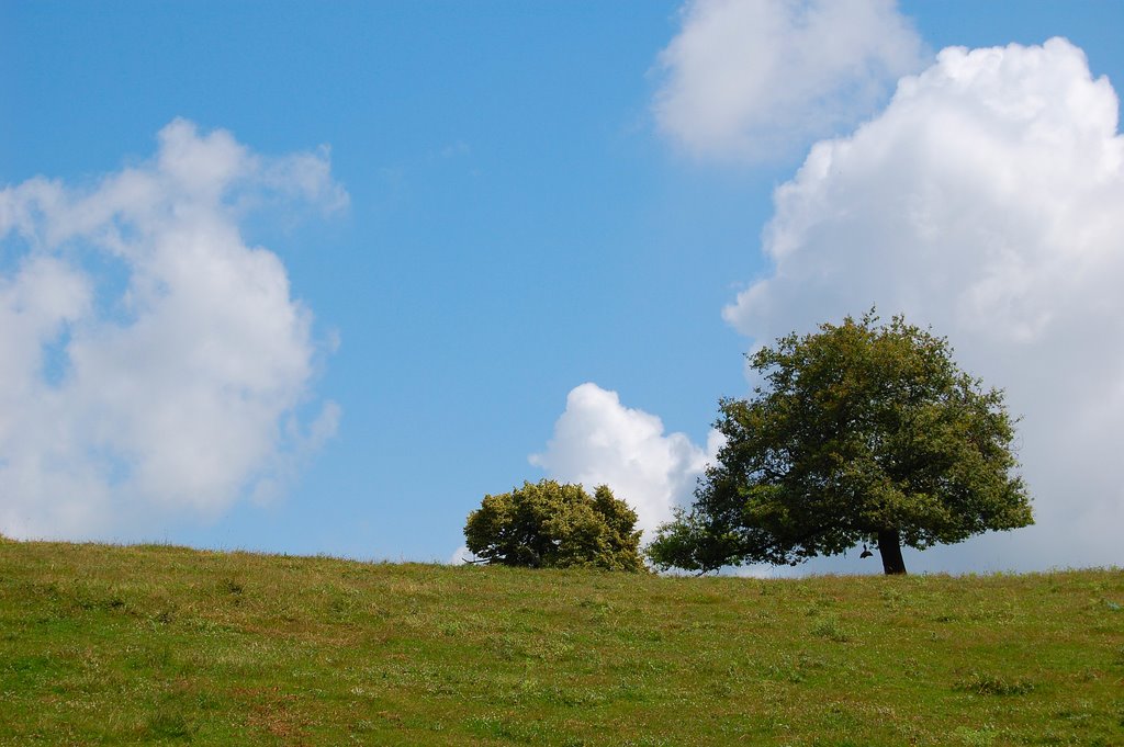 Campagne by Les Argonautes