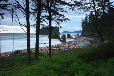 Ruby Beach by yemil