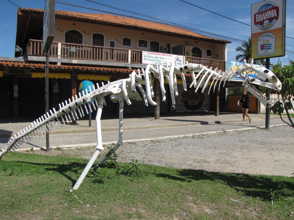 2009 - dinosaur in Praia Seca - RJ - Brasil by AmputadoAmputeeAlex