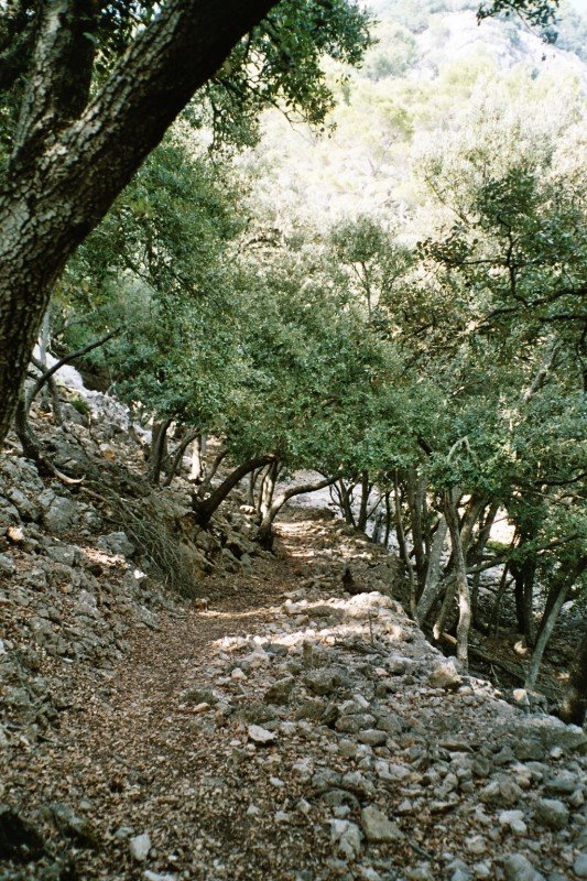 Wanderpfad über Valldemossa by www.rudigeister.magix.net by Rudi Geister