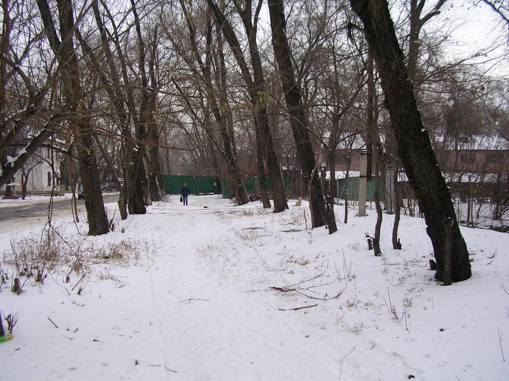 Turksib District, Almaty, Kazakhstan by Dimitri Wischnewski