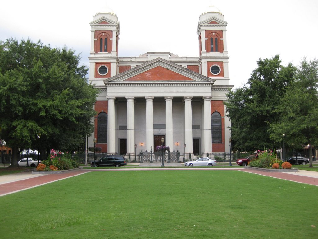 Cathedral of the Immaculate Conception by cwoods