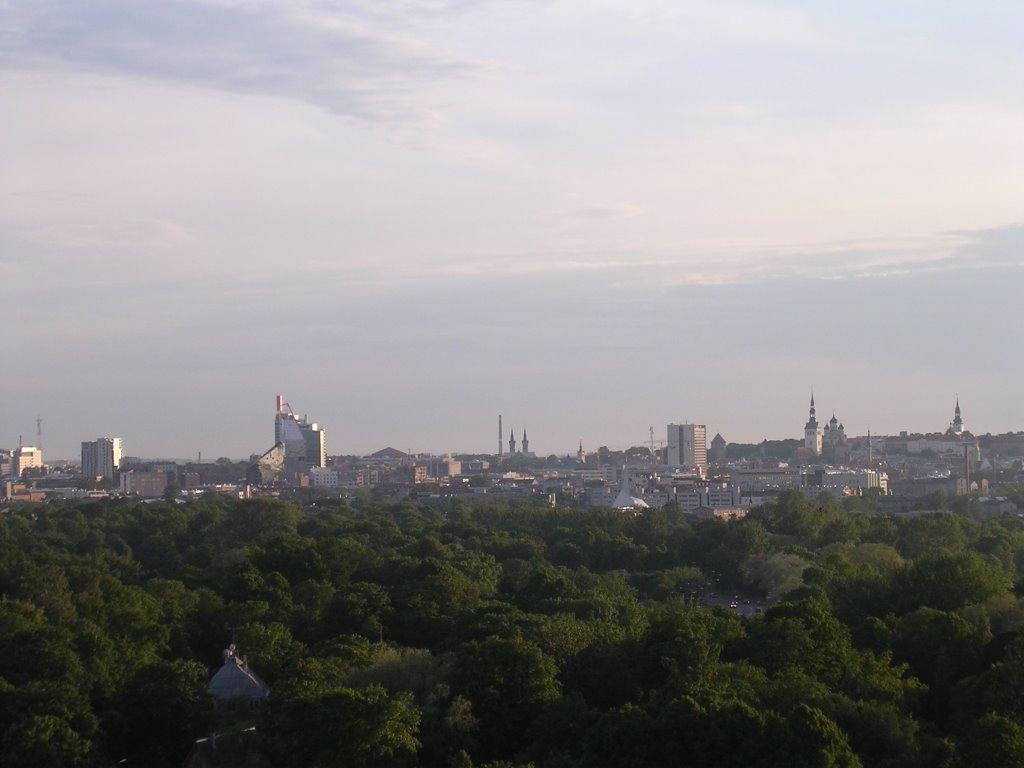 View from the tower over the city by Aulo Aasmaa