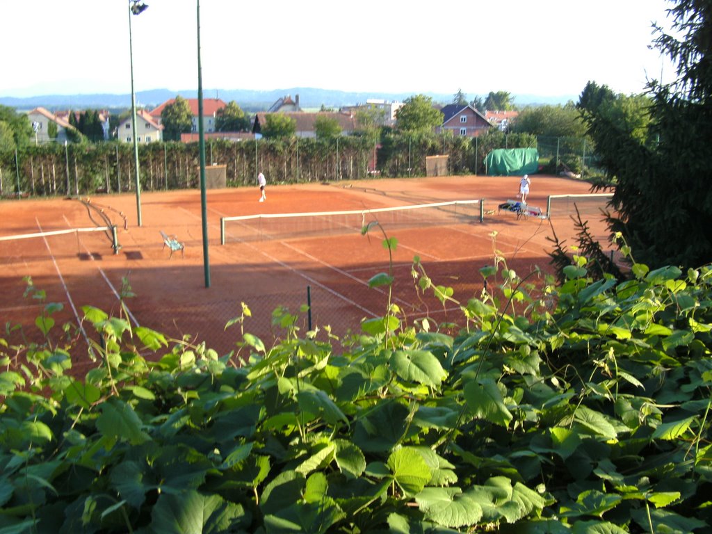 Tenis igrišče by spakedravs