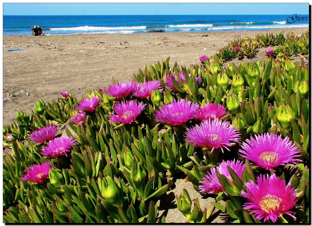 Ricordi di primavera (ovvero quanto è bello il mare quando non c'è nessuno!) by giors57