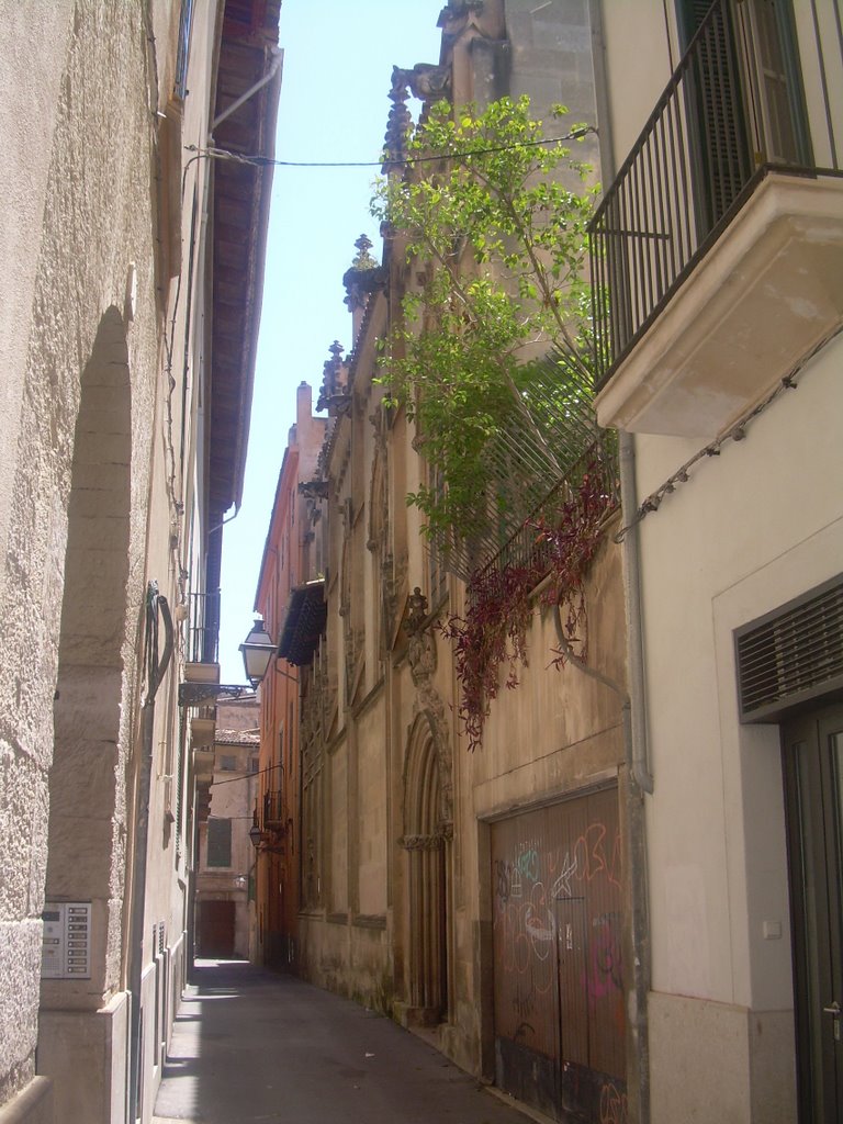 Carrer del Barri Sant Jaume by urvanity