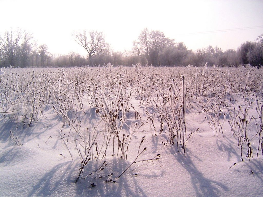 2005 tél by BakoTomo