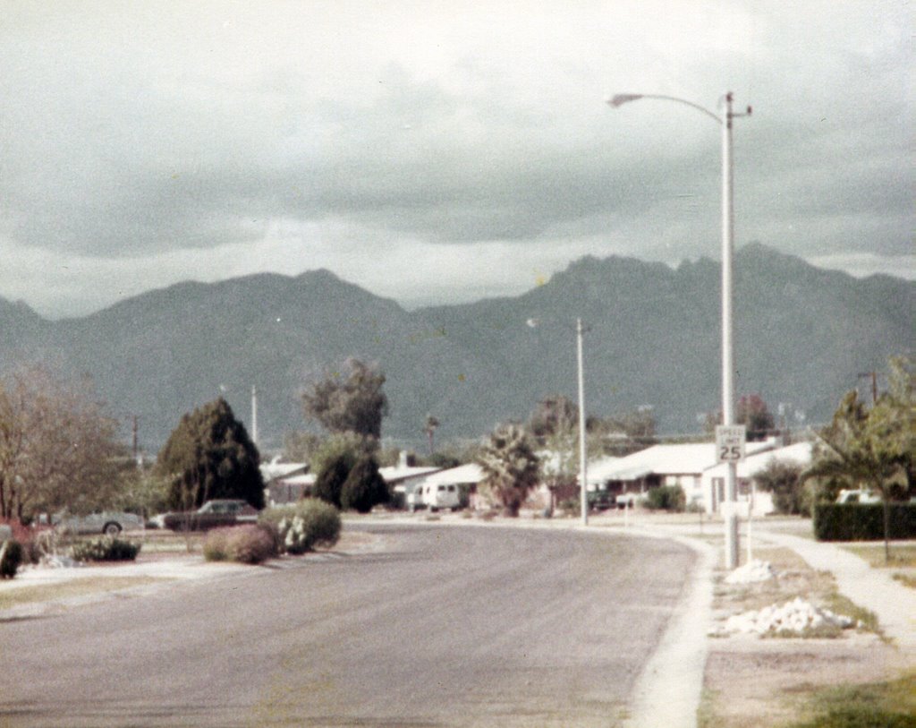 Spring 1983, Carnegie Dr, Tucson, looking north by timmus