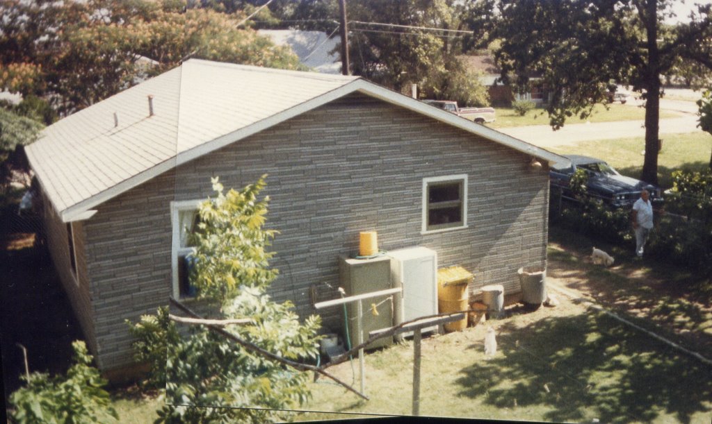 Back yard of house on Ermis St, looking southwest by timmus