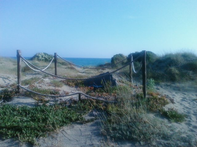 DUNE DI TORVAIANICA -ROMA by lyna lombardi