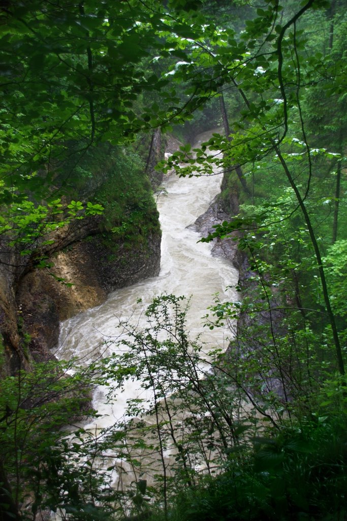 Mörtelbach after Heavy Rain by Klaus Robl