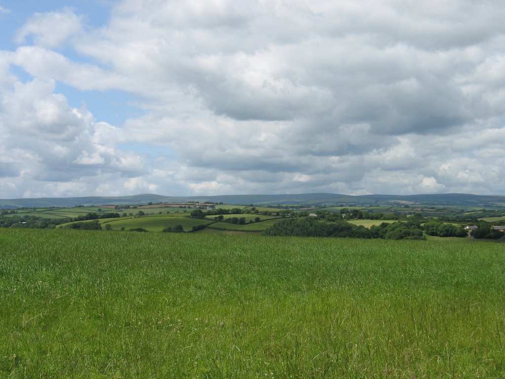 Looking towards Dartmoor by D Belton