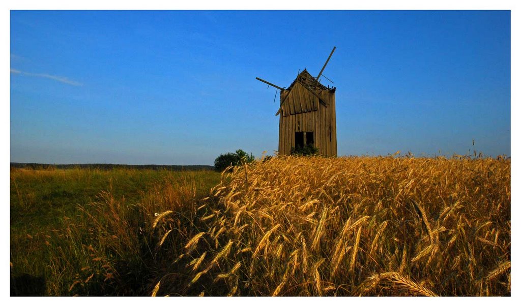 Hundred years' windmill, Malawicze Górne by Jerzy Szygiel