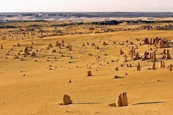 Pinnacles - Nambung National Park by EOS20