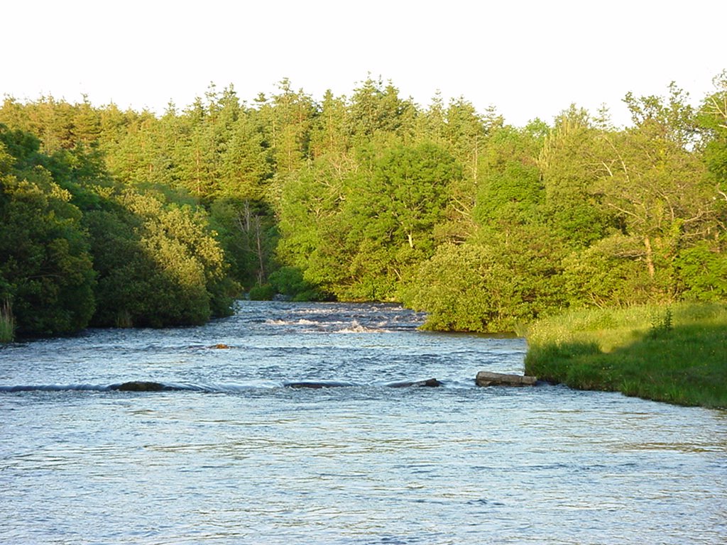 Near Lough Melvin by Alistair Cunningham