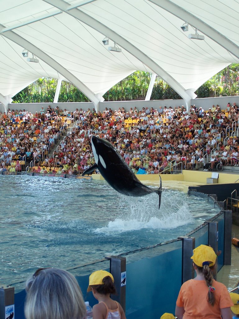 Loro Parque (Tenerife) by andre quinta