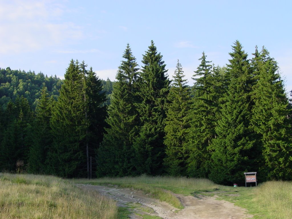 Út a Mohos tőzegláphoz / Intrare in tinovul Mohos / Entrance of Mohos Moss Land by olizoli