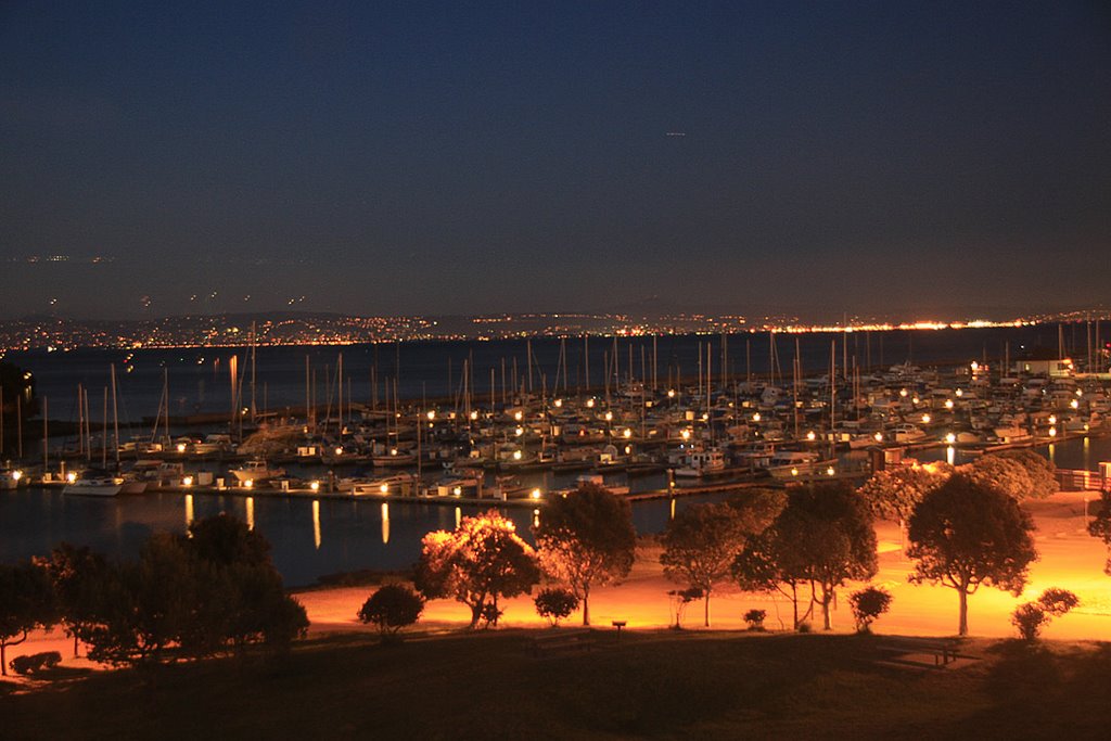 San Francisco Bay from Oyster Point by Donald M. Hall