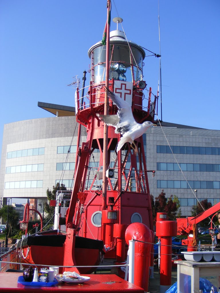 Lightship and seagull by Dan123