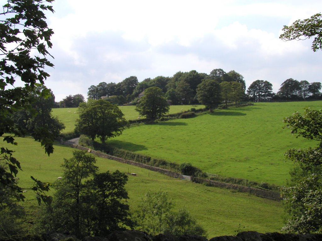 White Hall Lane, Grindleton by RS6