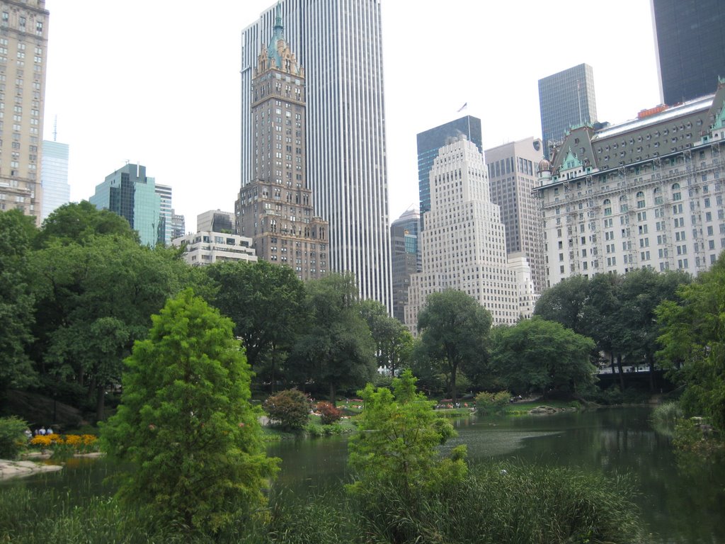 Central Park view, New York by Salatico