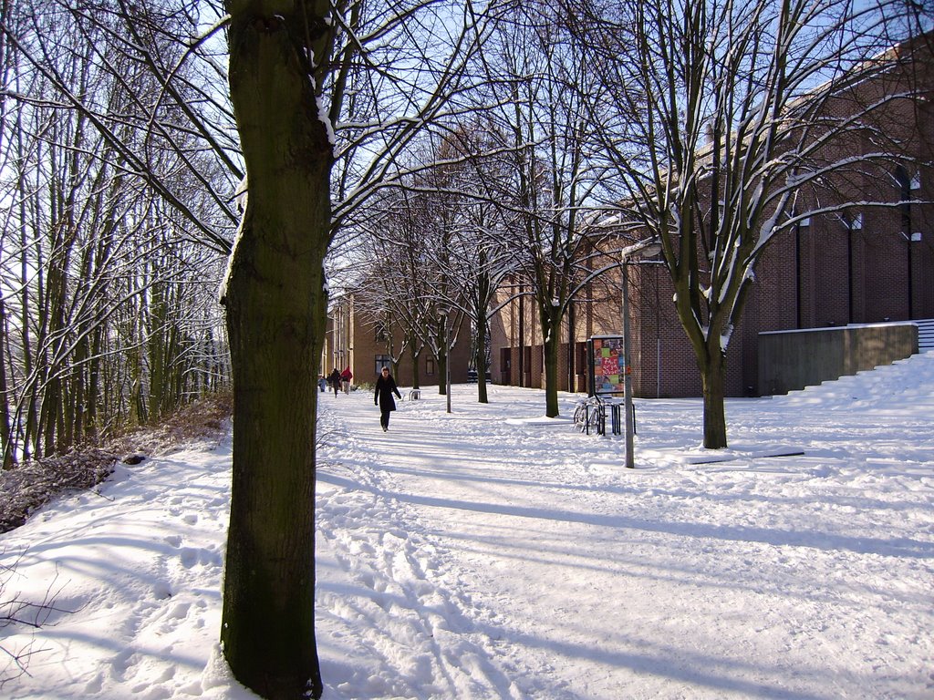 Louvain-la-Neuve sous la neige (église Saint-François) - hiver 2009 by Pascal de LLN