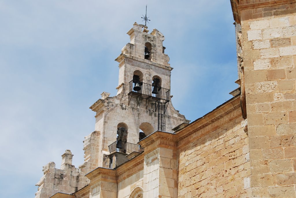 Monasterio de Santa Maria de La Vid by Rosaflor