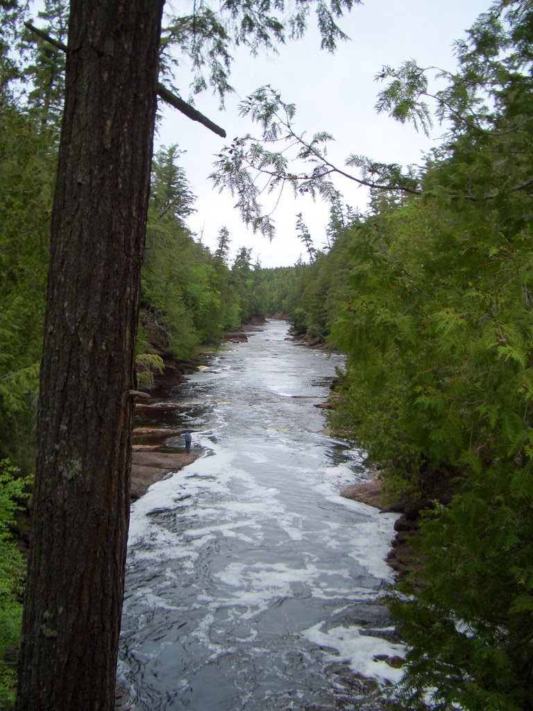 Black River - Downstream from Rainbow Falls by danieldiemer