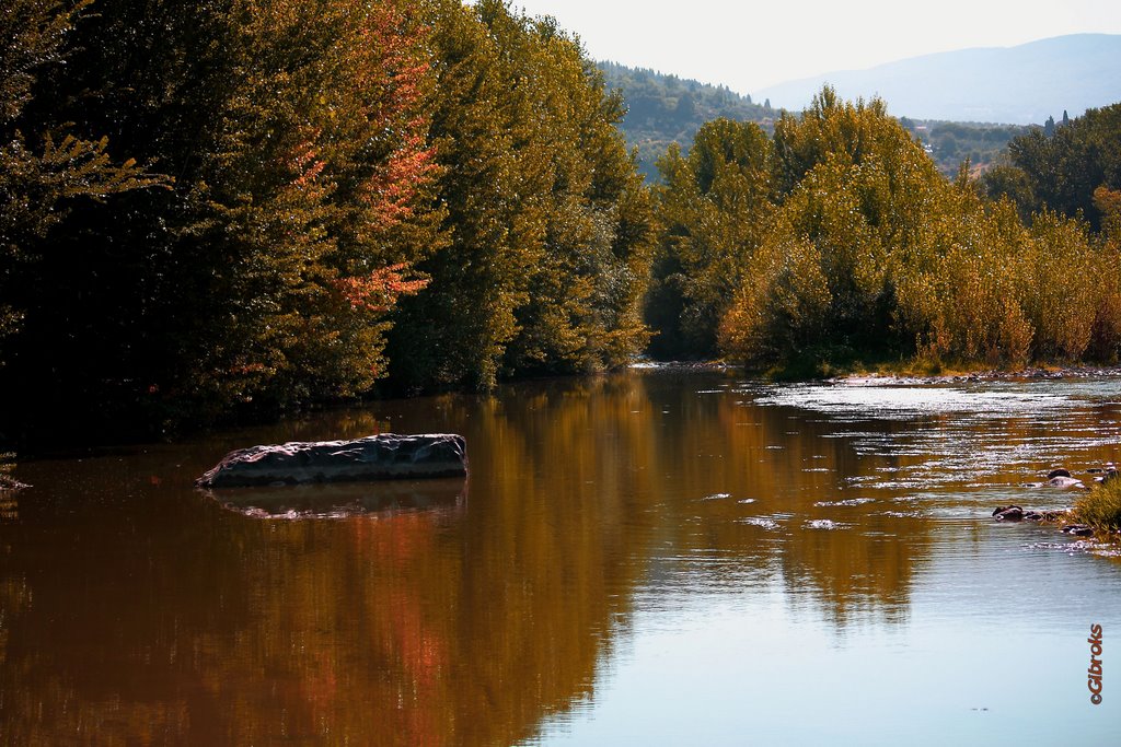 Sulle rive dell'Arno-(gold) by ©Gibroks