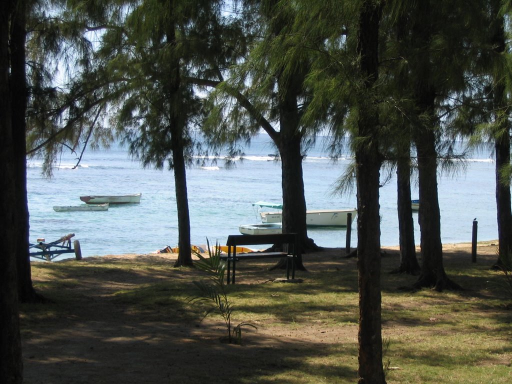 Barques de pêcheurs à la Pointe aux Piments by lifeguard74