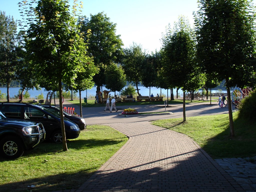 Paseo via del tren.schluchsee. by ROBERT MORANCHO