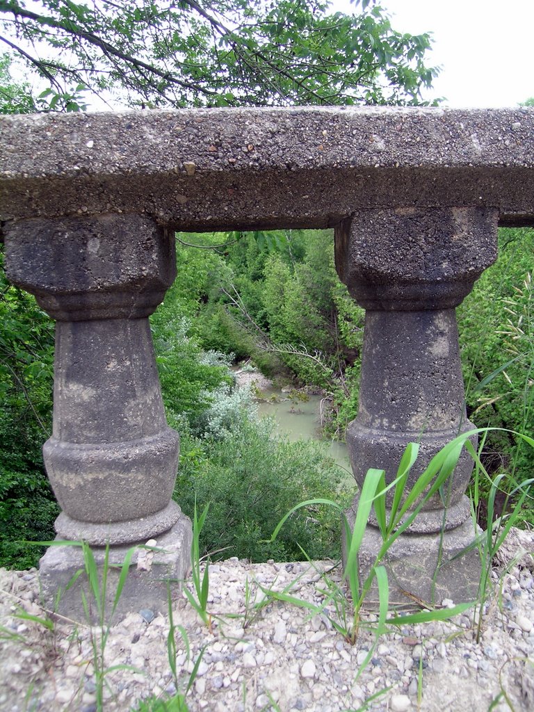 Laurier line bridge ii by larry e walton