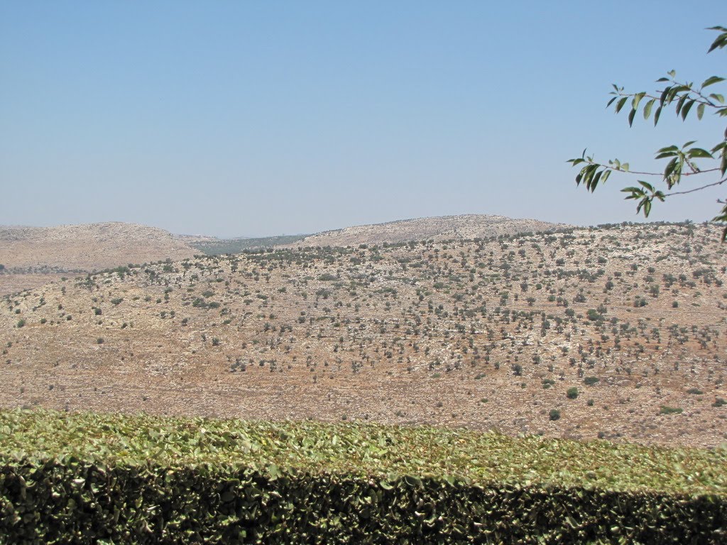 Beit Arye, general view from the community 8, Israel by Kobi Zilberstein