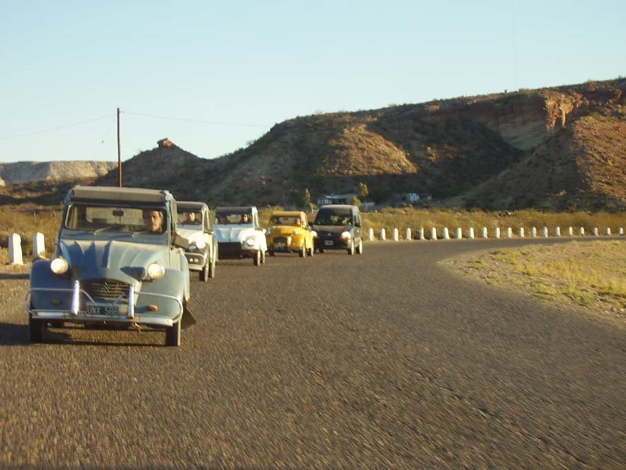 Citrosaurios by fernandoamz