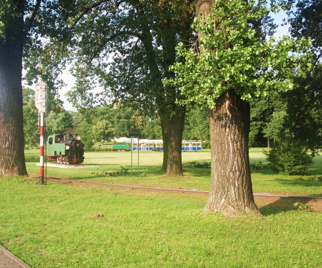 Poznań - kolejka wąskotorowa w parku nad jeziorem Maltańskim by «»Leszek«»