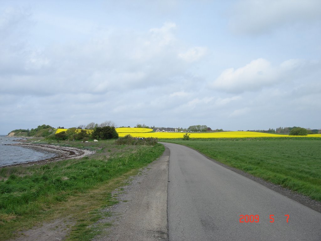 Langø by Fyens.dk