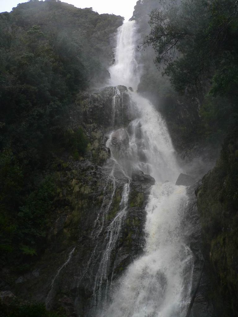 Montezuma Falls, Western Wilderness, Tasmania by cuervo2008