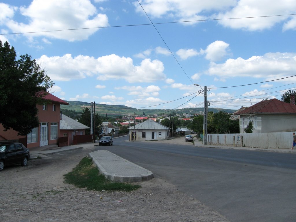 Zona centrala de pe interfluviul Draslavat-Raiesti si Inseuarea Dobrina vazute de pe Calea Basarabiei (20.07.09.) by Manoliu Ioan