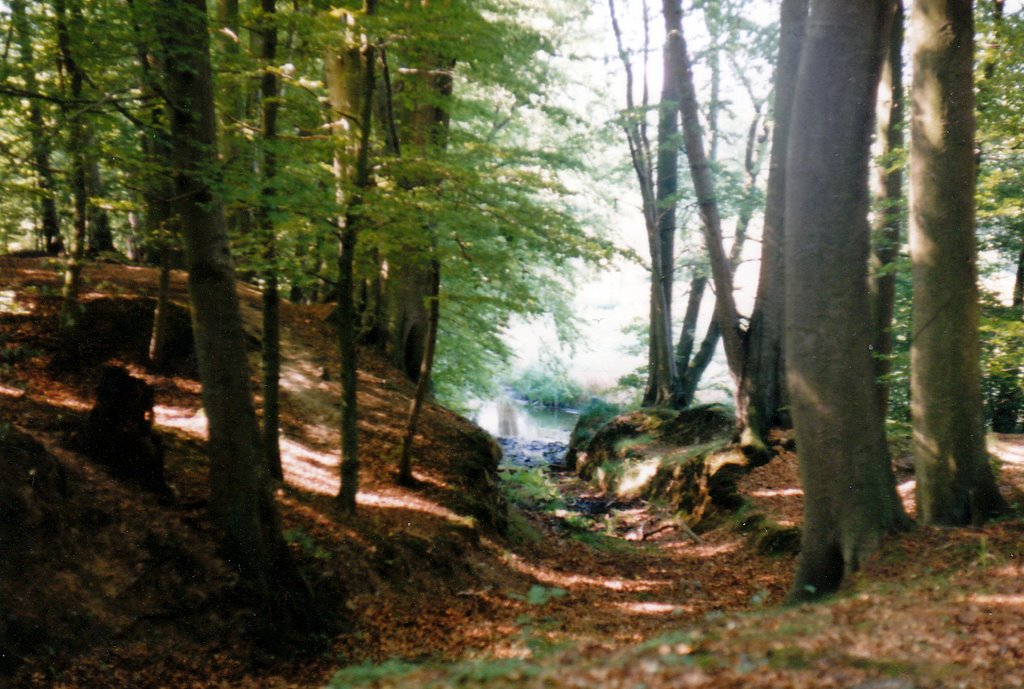 Furt beim ehemaligen Schaalhof by Dieter Greve